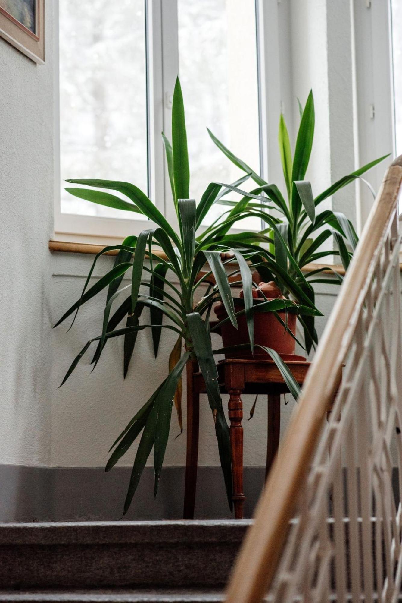 Gruppenhaus Lindenhof Churwalden Habitación foto